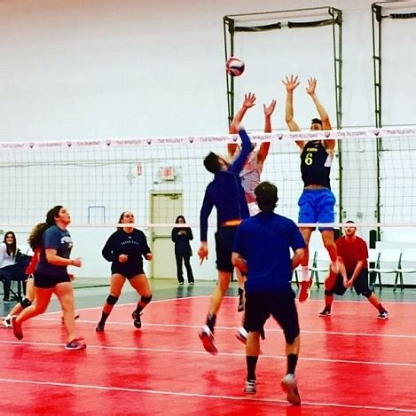 cca sports indianapolis|volleyball leagues for adults.